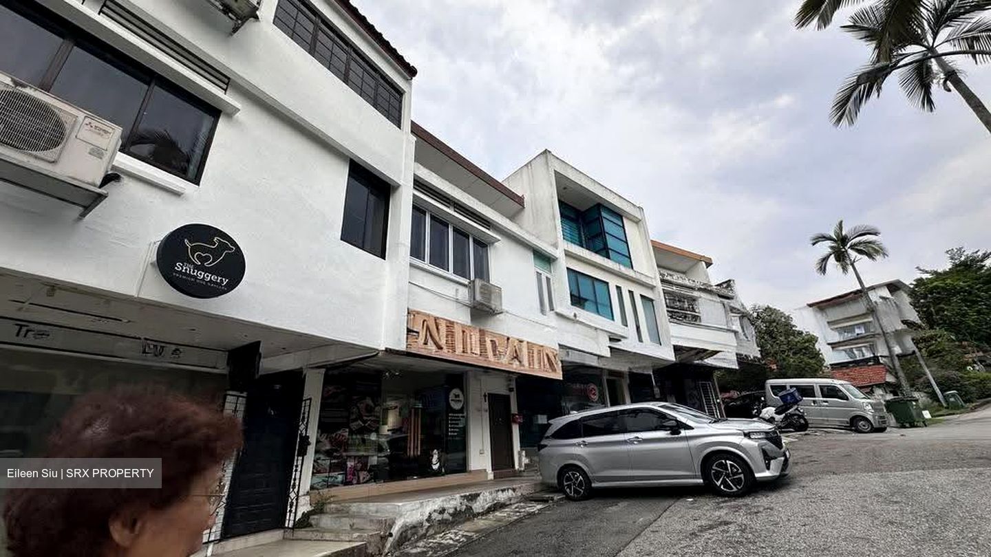 Adelphi Park Estate (D20), Shop House #636155401